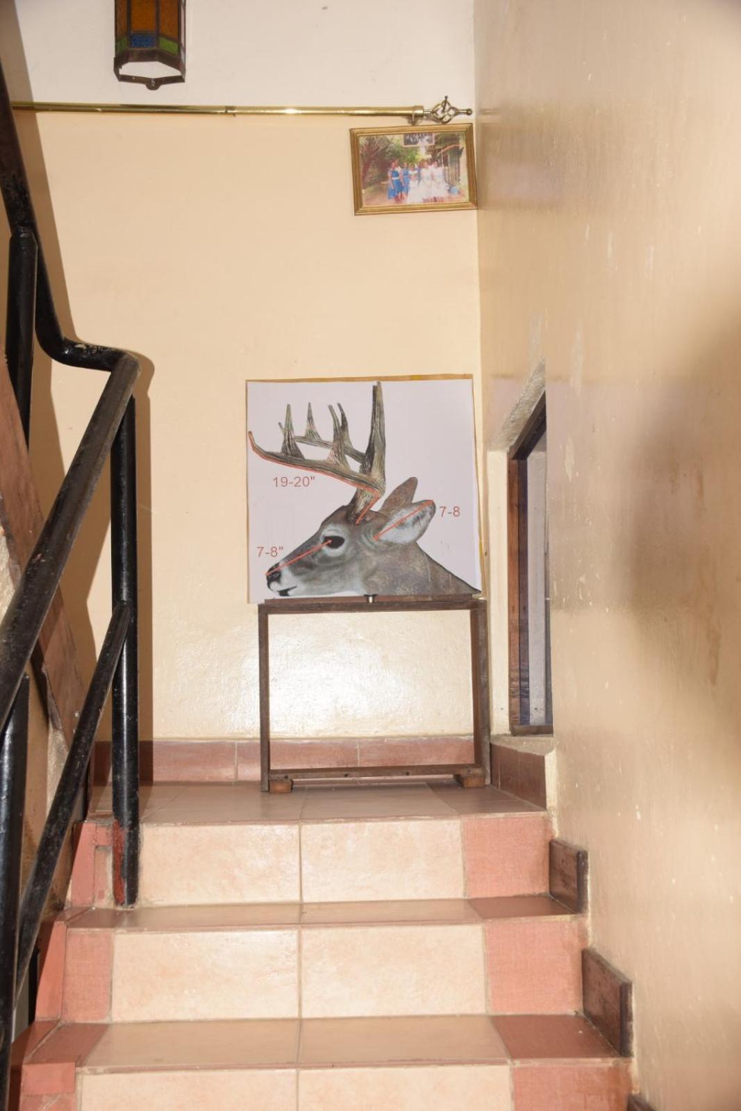 Cingaki Hotel Mombasa Eksteriør bilde